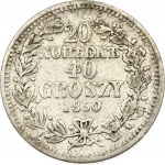 Zobacz podobne