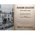 Hrabina Segur - Przykładne dziewczątka, ilustracje M. Stroynowski, Warszawa ca. 1928