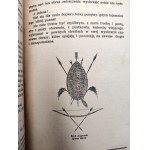Pisuliński A. - Szlakiem Słonia Afrykańskiego - wrażenia z podróży i polowań w Afryce Środkowej, Lwów 1928 [ myślistwo ]