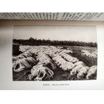 Ossendowski Ferdynand Antoni - Pod Smaganiem Samumu - podróż po Afryce Północnej - Poznań 1926 [ Pierwsze Wydanie ]
