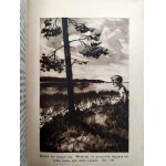 Bonsels W. - Marek w lesie, ilustrował Kamil Mackiewicz, Poznań ca. 1935