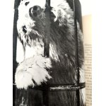 Pisarski R. - Wakacje w Zoo - Warszawa 1966 [ Proj. okładki Janusz Grabiański, Wydanie I]