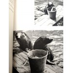 Pisarski R. - Wakacje w Zoo - Warszawa 1966 [ Proj. okładki Janusz Grabiański, Wydanie I]