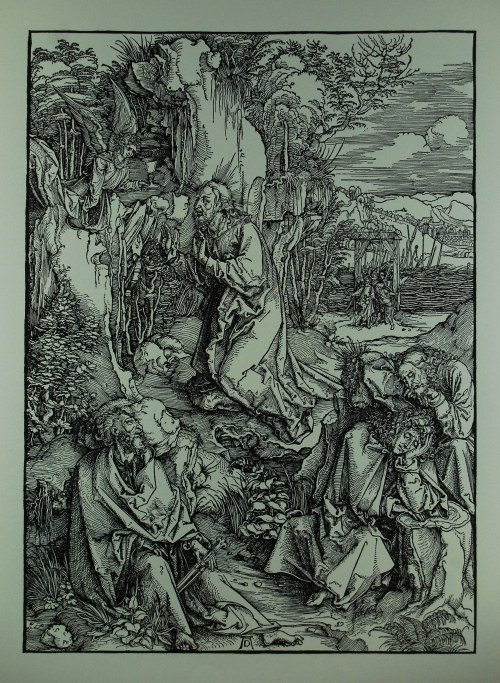 Albrecht Dürer (1471-1528) 