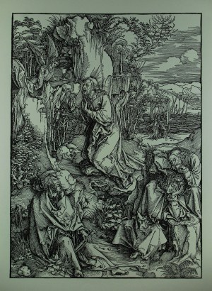 Albrecht Dürer (1471-1528) 