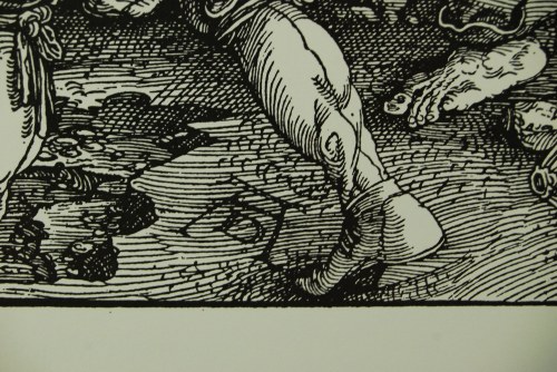 Albrecht Dürer (1471-1528) 