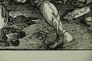 Albrecht Dürer (1471-1528) 