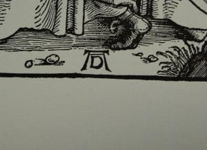 Albrecht Dürer (1471-1528) 