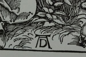 Albrecht Dürer (1471-1528) 