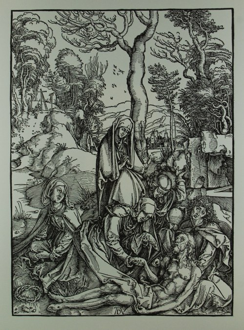 Albrecht Dürer (1471-1528) 