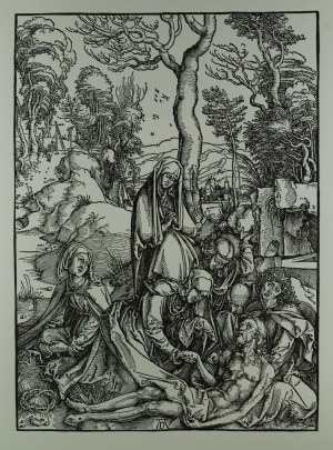 Albrecht Dürer (1471-1528) 