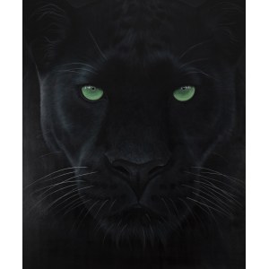 Paulina Wróblewska (ur. 1991, Poznań), Aira z cyklu Wild Cats, 2025
