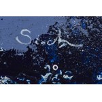 Wioletta Sioch (geb. 1982), Segel, 2024