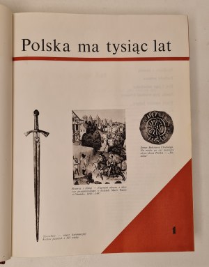 Collective work - Twenty years of People's Poland ILLUSTRATIONS