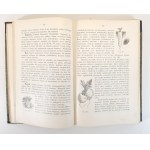TYNIECKI Władysław - OGRÓD WARZYWNY I OWOCOWY z 115 ilustracyami wyd.1912