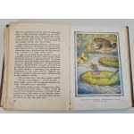 ANDERSEN Jan CH. - BAŚNIE przekład F.Mirandoli Piękne ilustracje