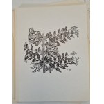 STANISŁAW WYSPIAŃSKI TWÓRCZOŚĆ PLASTYCZNA, kieszonkowe folio z reprodukcjami, RZADKIE !