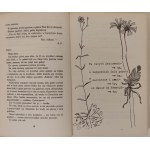 OSIECKA Agnieszka - LISTY ŚPIEWAJĄCE Ilustracje GÓRALCZYK Wydanie 1