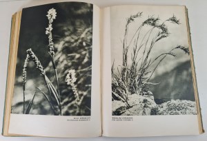 Zofia Radwańska Paryska - The Green World of the Tatra Mountains, issued.1953 [photographs].