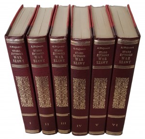 Wejnert Alexander - Warsaw Antiquities Volumes I-VI [reprint] Illustrations