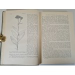 PAX FÜR.-DIE VEGETATION DER ERDE X. GRUNDZÜGE DER PFLANZENVERBREITUNG IN DEN KARPATHEN Band II / ROŚLINNOŚĆ ZIEMI PODSTAWY ROZMIESZCZENIA ROŚLIN W KARPATACH