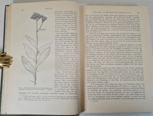 PAX FÜR.-DIE VEGETATION DER ERDE X. GRUNDZÜGE DER PFLANZENVERBREITUNG IN DEN KARPATHEN Band II / VEGETATION OF THE EARTH BASIS OF PLANT DISTRIBUTION IN THE KARPATHEN