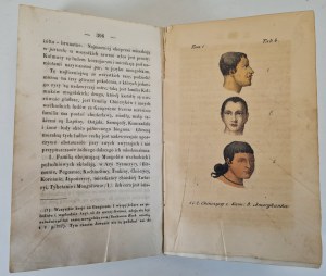 VIREY J.J. - NATURAL HISTORY OF THE HUMAN FAMILY Volume III and IV, ed.1843 [losses in pages].