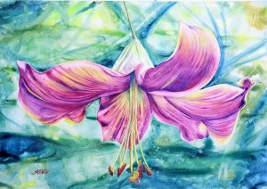 Anka Poniatowska, Lily from Beata's garden, 2025.