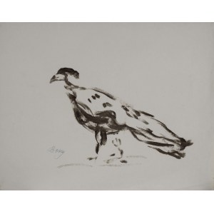 Zenon KONONOWICZ (1903-1971), Bird