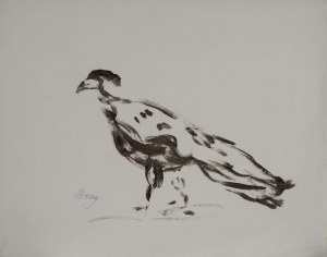 Zenon KONONOWICZ (1903-1971), Bird