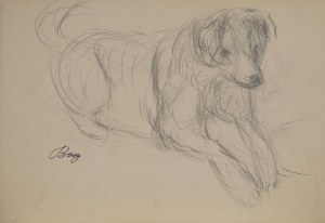 Zenon KONONOWICZ (1903-1971), Dog I