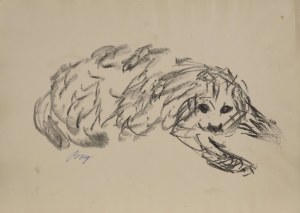 Zenon KONONOWICZ (1903-1971), Dog II