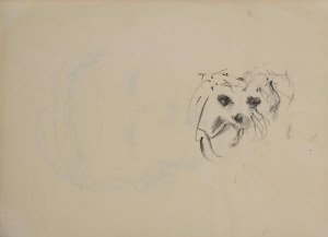 Zenon KONONOWICZ (1903-1971), Self-portrait