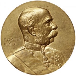 Austria, Franz Joseph I, War Commemorative medal 1914