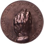Austria, Franz Joseph I, Satirical medal of Vittorio Emmanuele III for the loss of the city of Trieste n.d. (1914-16)