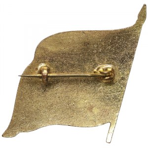 Niemcy, Republika Demokratyczna (DDR), Pin Socjalistyczna Partia Jedności Niemiec