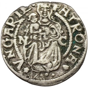 Ungheria, Ferdinando I, Denar 1530, Nagybanya