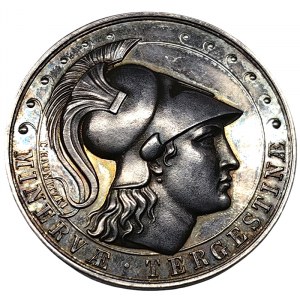 Austrian Trieste, Medal 50th anniversary of the Minerva Society 1861