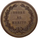 Austrian Trieste, Prize medal of the Economic and Agricultural Exhibition 1863