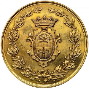 Austrian Trieste, Medal Austrian-Hungarian Agricultural and industrial Exhibition 1882