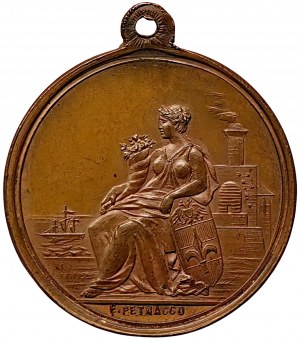 Austrian Trieste, Medal Austrian-Hungarian Agricultural and industrial Exhibition 1882