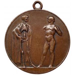 Trieste, Medal Trieste to the irredentist volunteers in the 1915-18 war 1919