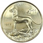 Žiūrėti panašius
