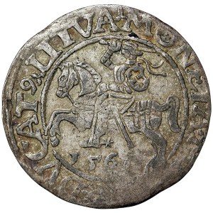 Polsko, Zikmund II, 1/2 Grosz (1/2 Groschen) 1561, Vilnius