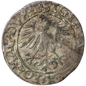 Polsko, Zikmund II, 1/2 Grosz (1/2 Groschen) 1561, Vilnius