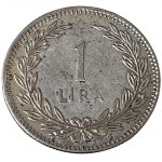 Žiūrėti panašius