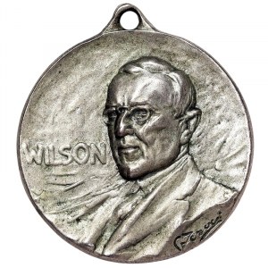 Spojené státy americké, Thomas Woodrow Wilson, 28. prezident USA, medaile za ukončení první světové války - 
