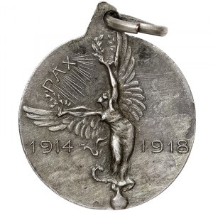 United States, Thomas Woodrow Wilson 28th President of the USA, Medal for the end of the WWI 1918