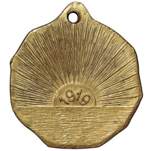 United States, Thomas Woodrow Wilson 28th President of the USA, Medal for the awarding of the Noble Peace Prize 1919