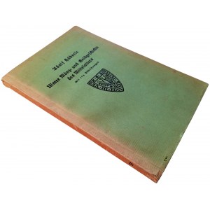 ULMER MUNZ UND GELDGESCHICHTE DES MITTELALTERS. HAEBERLE, ADOLF. 1935.
